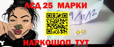 индика Краснознаменск