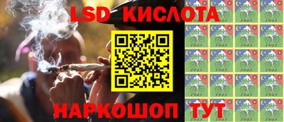 индика Краснознаменск