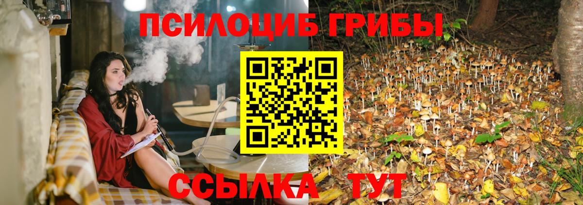 Псилоцибиновые грибы мухоморы  Вход с VPN  Псилоцибиновые грибы мухоморы  Карталы 
