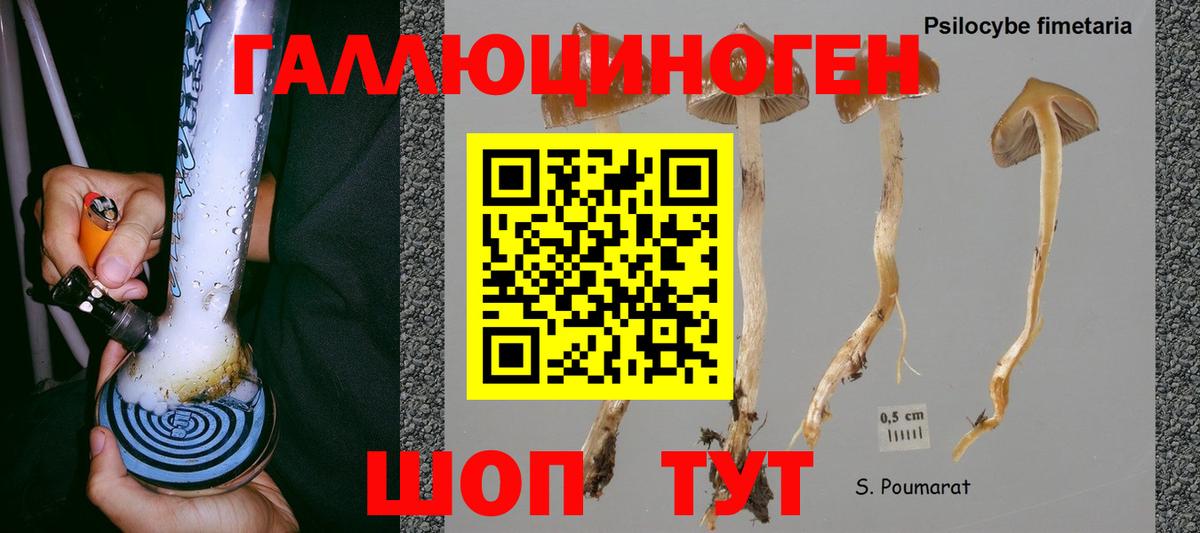 Псилоцибиновые грибы мицелий Карталы